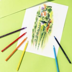 Deli Colored Pencil 12pcs - Image 3