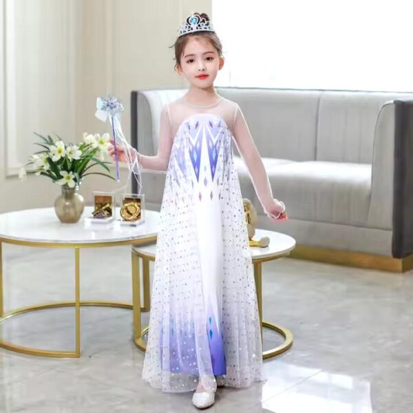 ELSA 1