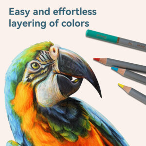 Deli Dmast Professional Water-Based Colour Pencil-36 colors - Image 3